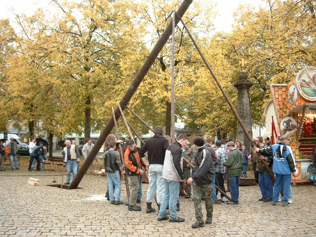 Kirchweihbaum wird aufgestellt