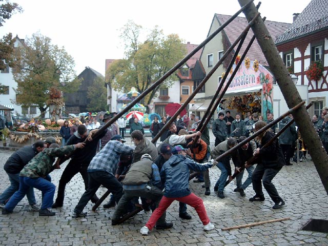 Kirchweihbaum wird aufgestellt mit hauruck